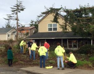 treeplanting-11-16